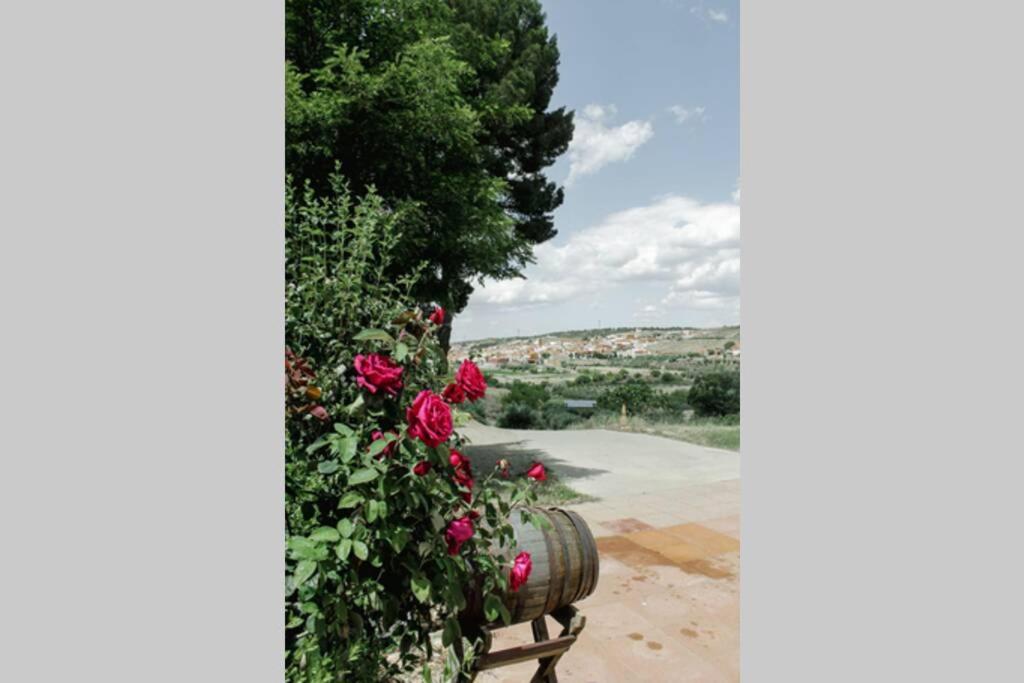 Casa Cueva Piena, Alcudia De Guadix 빌라 외부 사진