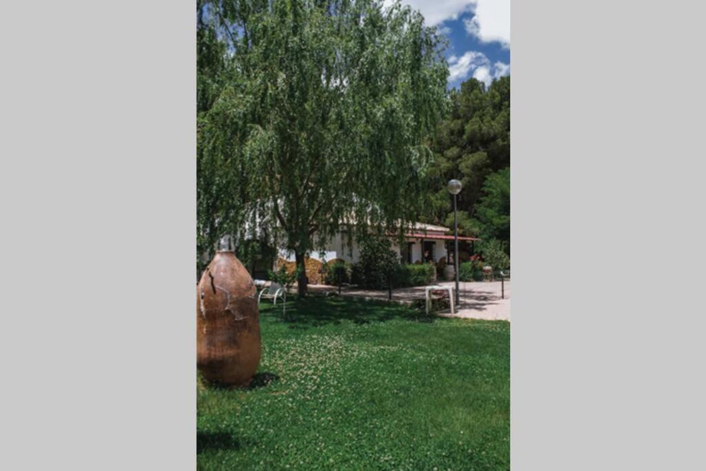 Casa Cueva Piena, Alcudia De Guadix 빌라 외부 사진
